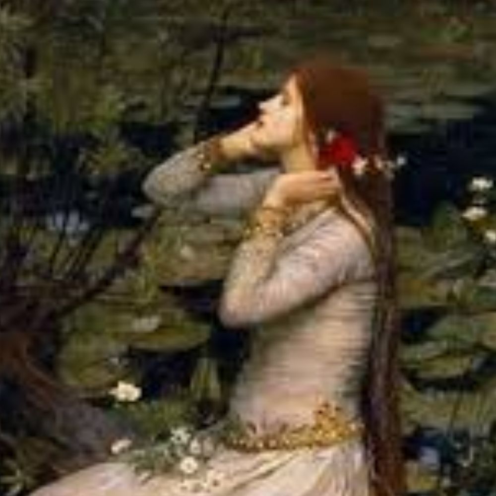 Meet your Posher, Carmen